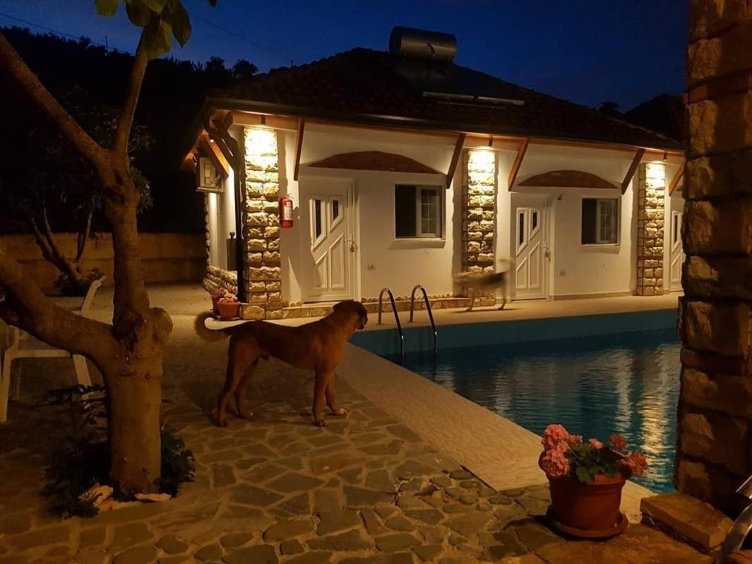 Guesthouse Lord Byron Tepelene Exterior photo